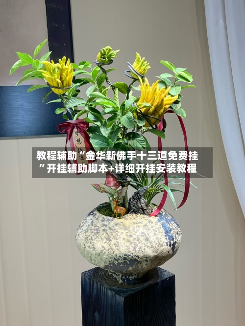 教程辅助“金华新佛手十三道免费挂”开挂辅助脚本+详细开挂安装教程-第1张图片