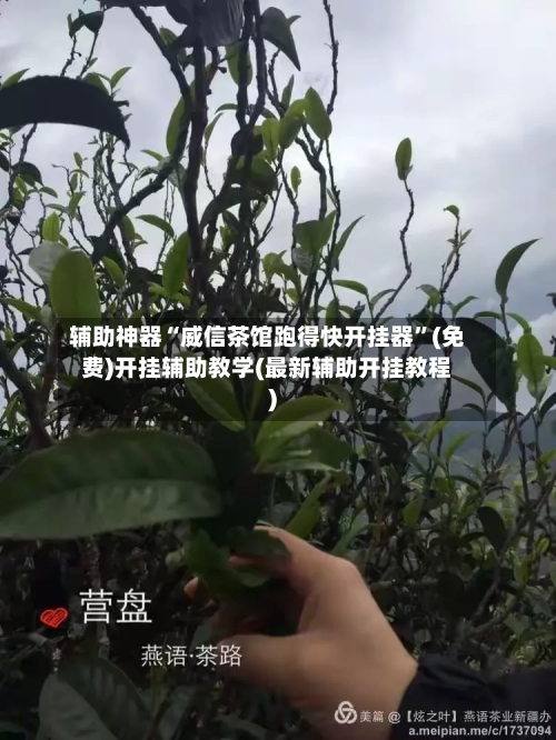 辅助神器“威信茶馆跑得快开挂器	”(免费)开挂辅助教学(最新辅助开挂教程)-第1张图片