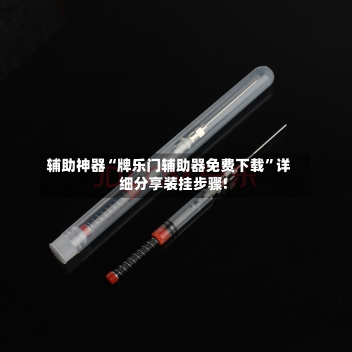 辅助神器“牌乐门辅助器免费下载	”详细分享装挂步骤!-第2张图片