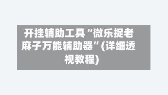开挂辅助工具“微乐捉老麻子万能辅助器”(详细透视教程)-第1张图片