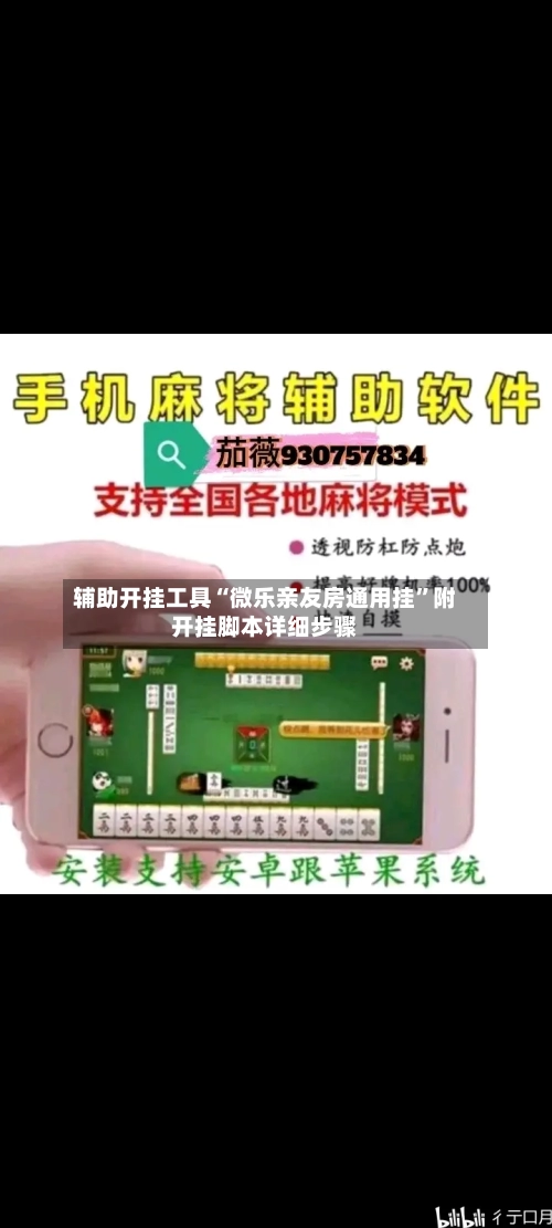 辅助开挂工具“微乐亲友房通用挂”附开挂脚本详细步骤-第3张图片