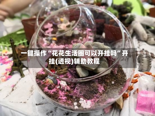 一键操作“花花生活圈可以开挂吗”开挂(透视)辅助教程-第2张图片