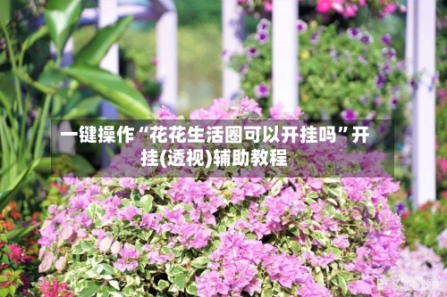 一键操作“花花生活圈可以开挂吗	”开挂(透视)辅助教程-第1张图片