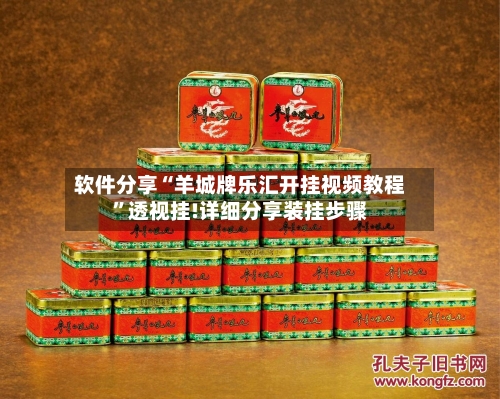 软件分享“羊城牌乐汇开挂视频教程”透视挂!详细分享装挂步骤-第1张图片