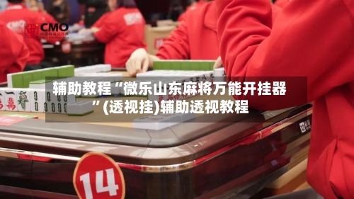 辅助教程“微乐山东麻将万能开挂器”(透视挂)辅助透视教程-第3张图片