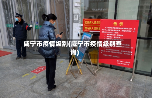 咸宁市疫情级别(咸宁市疫情级别查询)-第2张图片
