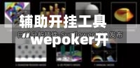 辅助开挂工具“wepoker开挂透视辅助(透视)	”附开挂脚本详细步骤-第1张图片
