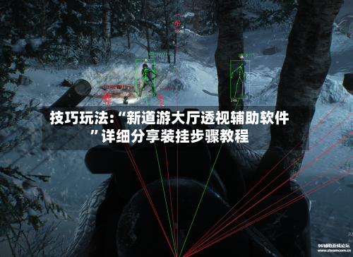 技巧玩法:“新道游大厅透视辅助软件	”详细分享装挂步骤教程-第2张图片