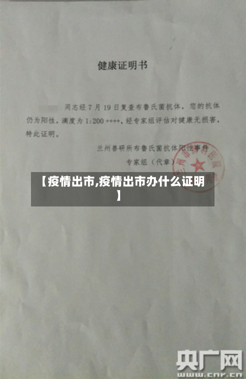【疫情出市,疫情出市办什么证明】-第2张图片