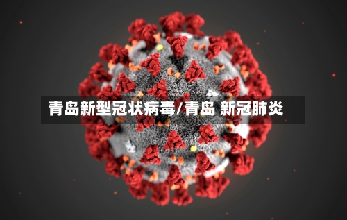 青岛新型冠状病毒/青岛 新冠肺炎-第2张图片