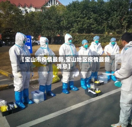【宝山市疫情最新,宝山地区疫情最新消息】-第1张图片