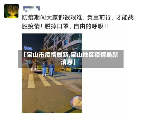 【宝山市疫情最新,宝山地区疫情最新消息】-第2张图片