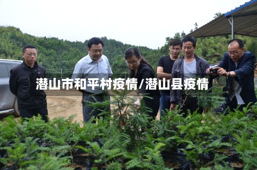 潜山市和平村疫情/潜山县疫情-第1张图片
