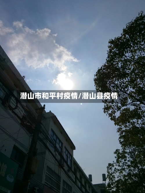 潜山市和平村疫情/潜山县疫情-第2张图片