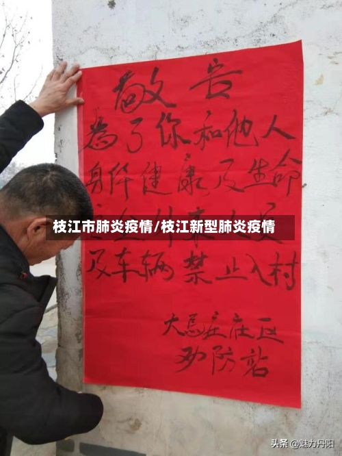 枝江市肺炎疫情/枝江新型肺炎疫情-第1张图片