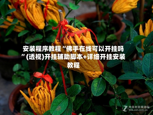 安装程序教程“佛手在线可以开挂吗”(透视)开挂辅助脚本+详细开挂安装教程-第3张图片
