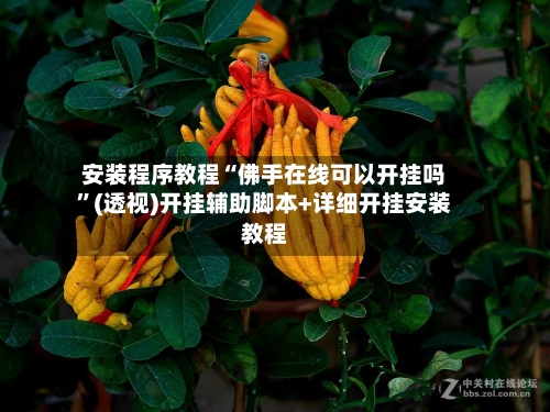 安装程序教程“佛手在线可以开挂吗	”(透视)开挂辅助脚本+详细开挂安装教程-第2张图片