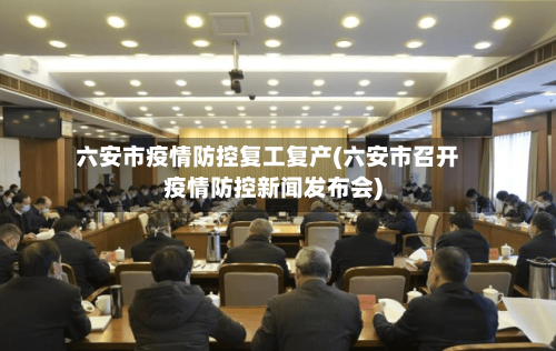 六安市疫情防控复工复产(六安市召开疫情防控新闻发布会)-第1张图片