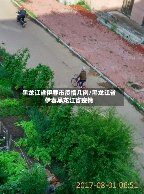 黑龙江省伊春市疫情几例/黑龙江省伊春黑龙江省疫情-第1张图片