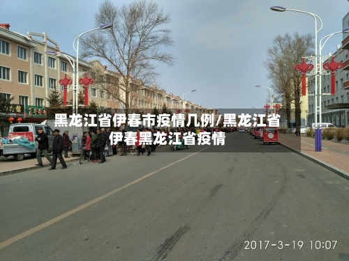 黑龙江省伊春市疫情几例/黑龙江省伊春黑龙江省疫情-第2张图片