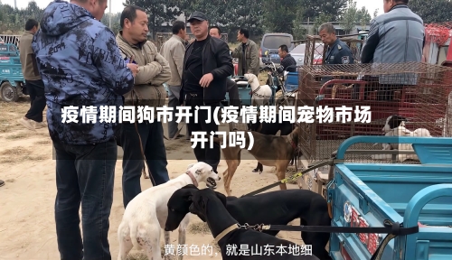 疫情期间狗市开门(疫情期间宠物市场开门吗)-第1张图片