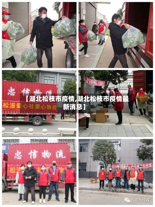 【湖北松枝市疫情,湖北松枝市疫情最新消息】-第1张图片