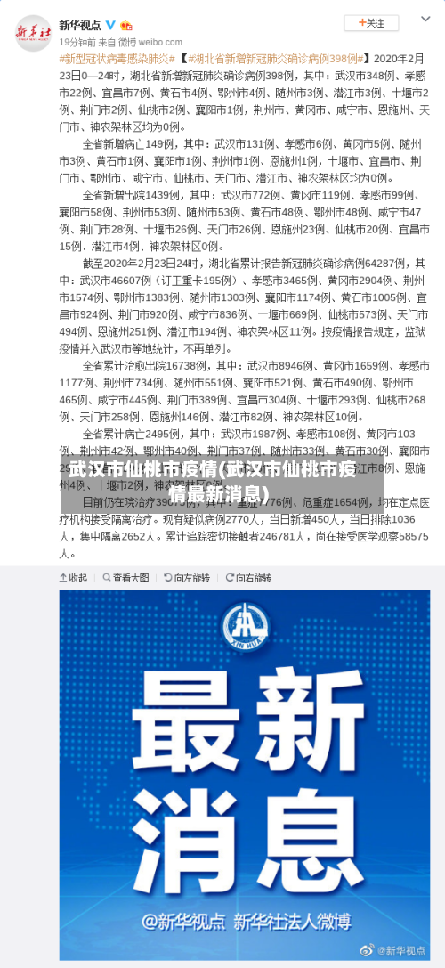 武汉市仙桃市疫情(武汉市仙桃市疫情最新消息)-第2张图片