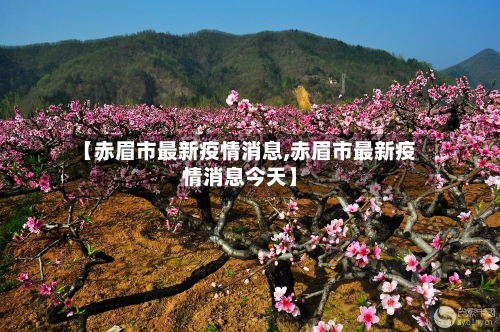 【赤眉市最新疫情消息,赤眉市最新疫情消息今天】-第2张图片