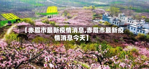 【赤眉市最新疫情消息,赤眉市最新疫情消息今天】-第3张图片