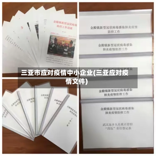 三亚市应对疫情中小企业(三亚应对疫情文件)-第2张图片