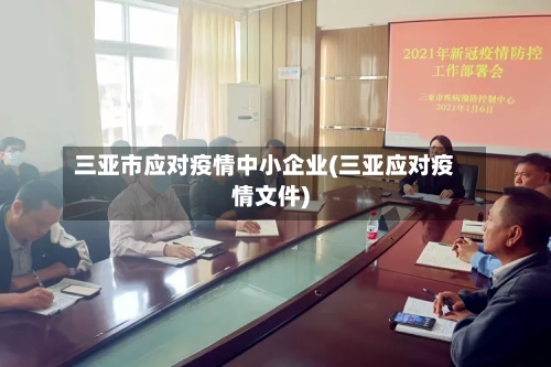 三亚市应对疫情中小企业(三亚应对疫情文件)-第1张图片