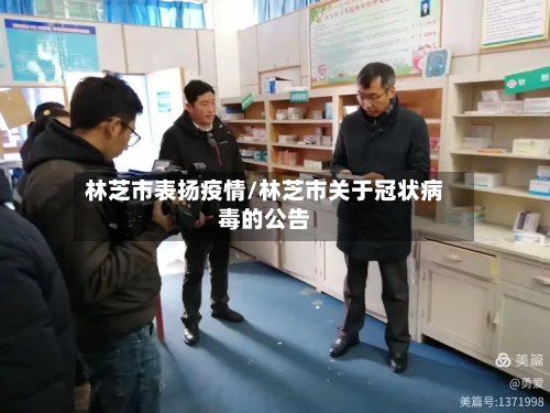 林芝市表扬疫情/林芝市关于冠状病毒的公告-第2张图片