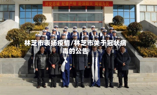 林芝市表扬疫情/林芝市关于冠状病毒的公告-第1张图片