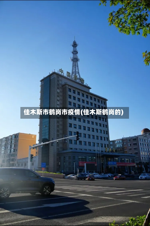 佳木斯市鹤岗市疫情(佳木斯鹤岗的)-第3张图片