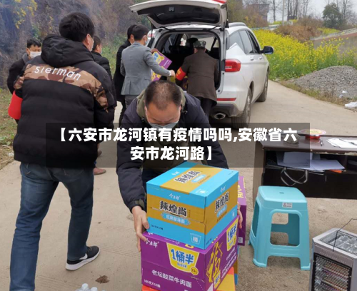 【六安市龙河镇有疫情吗吗,安徽省六安市龙河路】-第2张图片