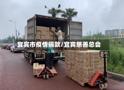 宜宾市疫情捐款/宜宾慈善总会-第1张图片