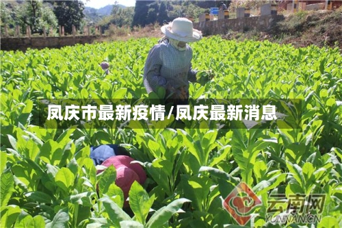 凤庆市最新疫情/凤庆最新消息-第2张图片