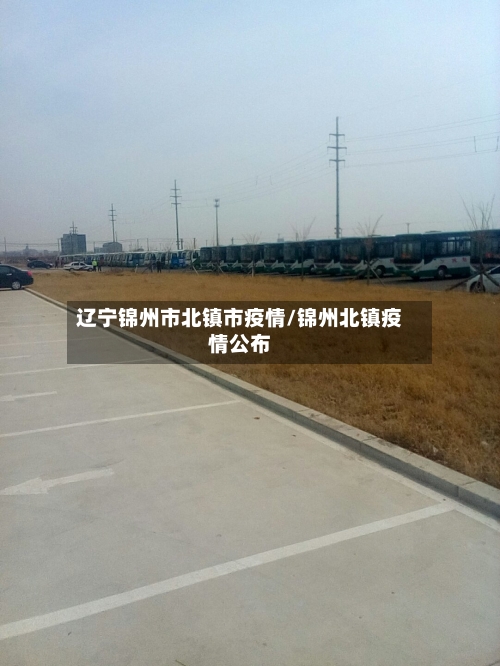 辽宁锦州市北镇市疫情/锦州北镇疫情公布-第2张图片