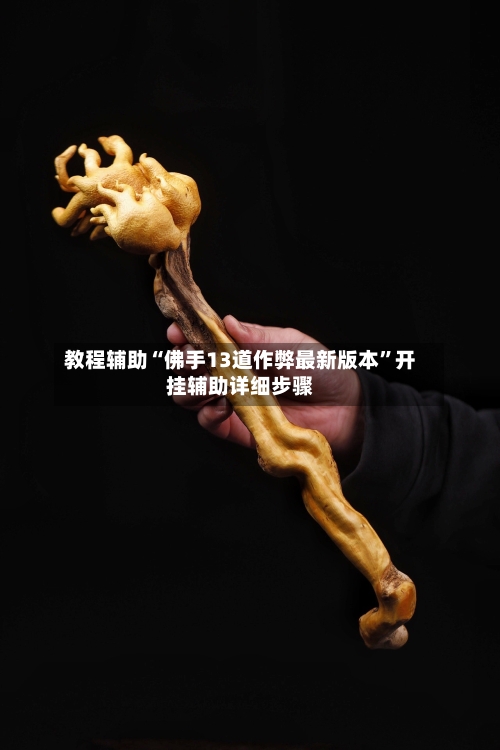 教程辅助“佛手13道作弊最新版本”开挂辅助详细步骤-第3张图片