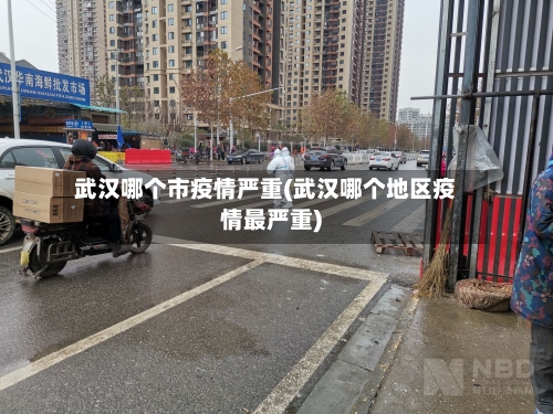 武汉哪个市疫情严重(武汉哪个地区疫情最严重)-第1张图片