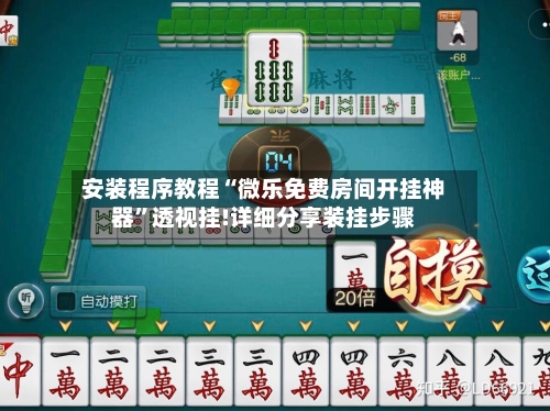 安装程序教程“微乐免费房间开挂神器”透视挂!详细分享装挂步骤-第2张图片