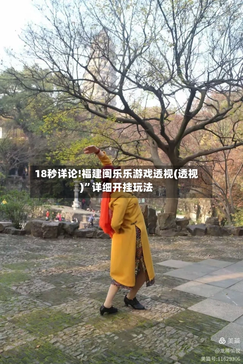 18秒详论!福建闽乐乐游戏透视(透视)”详细开挂玩法-第3张图片