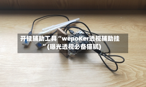 开挂辅助工具“wepoKer透视辅助挂”(曝光透视必备猫腻)-第1张图片