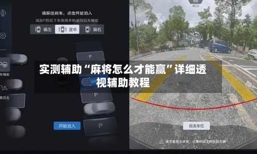 实测辅助“麻将怎么才能赢”详细透视辅助教程-第2张图片