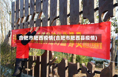 合肥市肥西疫情(合肥市肥西县疫情)-第2张图片