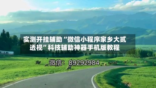 实测开挂辅助“微信小程序家乡大贰透视”科技辅助神器手机版教程-第1张图片