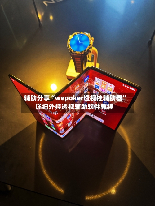 辅助分享“wepoker透视挂辅助器”详细外挂透视辅助软件教程-第2张图片