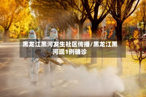 黑龙江黑河发生社区传播/黑龙江黑河现1例确诊-第2张图片