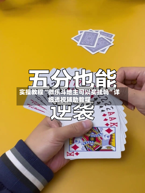 实操教程“微乐斗地主可以买挂吗”详细透视辅助教程-第3张图片