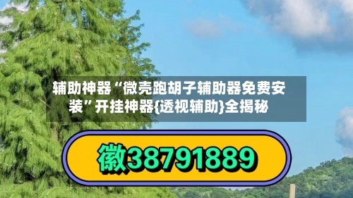 辅助神器“微壳跑胡子辅助器免费安装”开挂神器{透视辅助}全揭秘-第3张图片